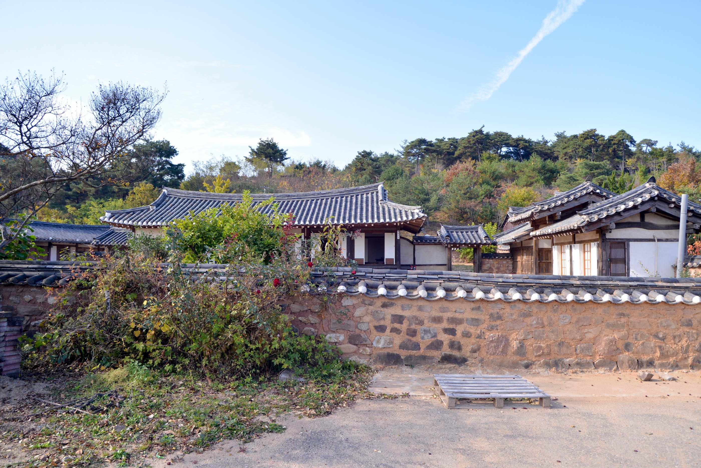 a006_1_1_001.jpg