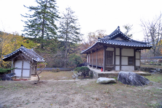 측면