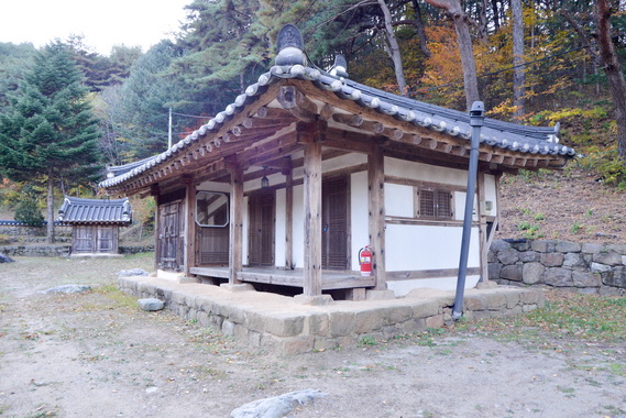 측면