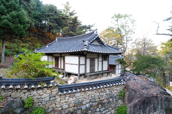 정측면