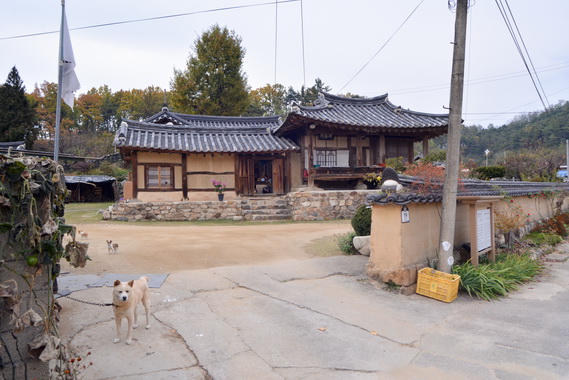 전경