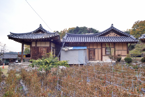 측면