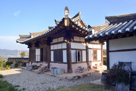 후면