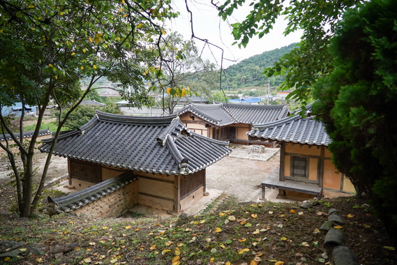 창녕조씨 지산종택 후면