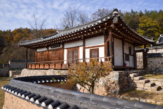 정면