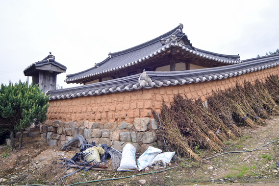 외부 측면