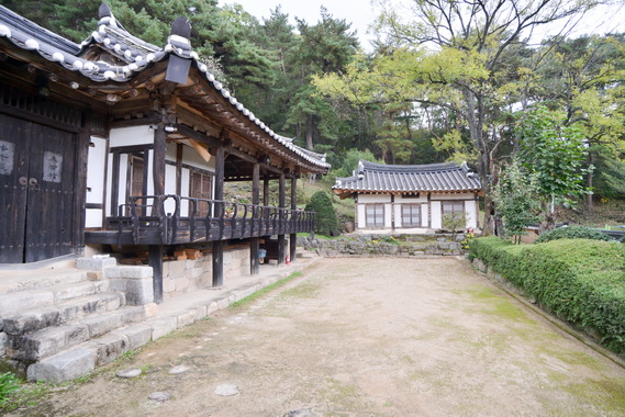 정측면