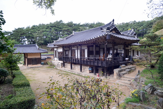 정측면