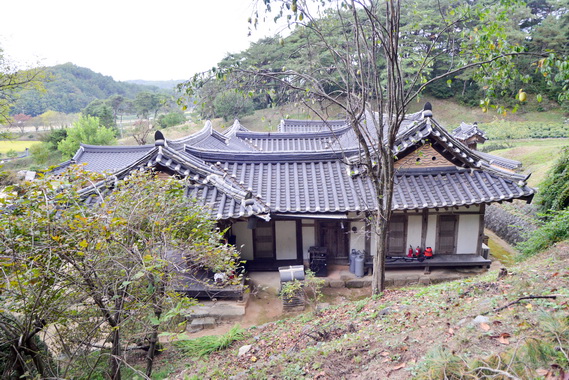 측면