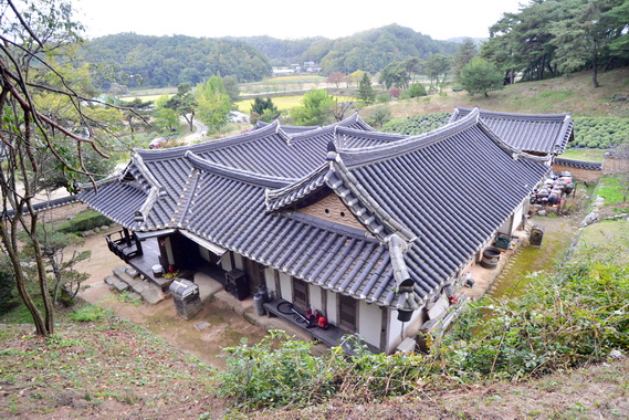 후면