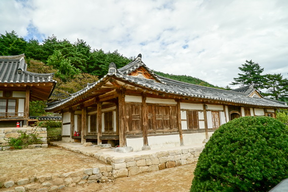 정침