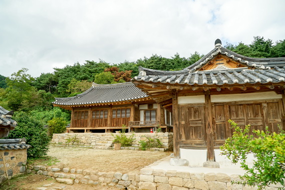 정침