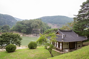 고산정 후면