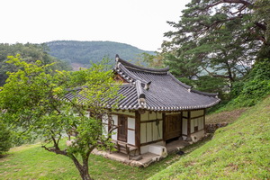 고산정 후면