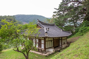 고산정 후면
