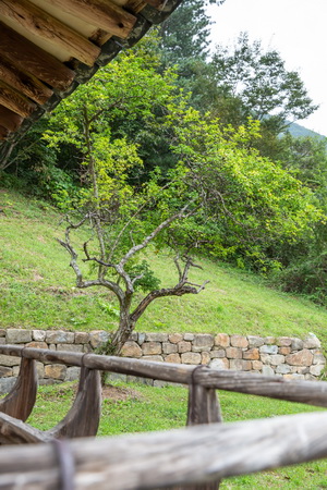 고산정 난간