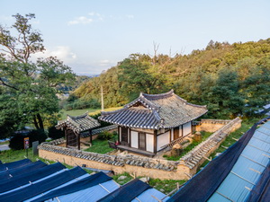뇌풍적 후면