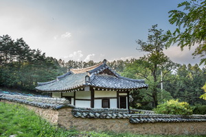 뇌풍정 측면 후경