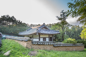 뇌풍정 측면 후경