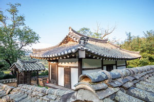 뇌풍정 측면 후경