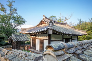 뇌풍정 측면 후경