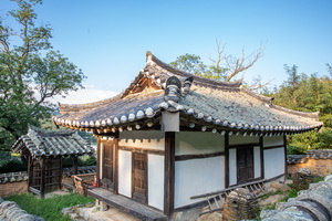 뇌풍정 측면 후경