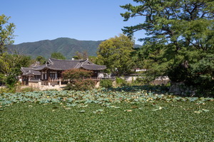 덕봉정사 전경 풍경