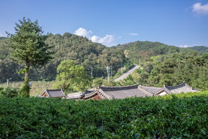 동계서원 기와가 보이는 풍경