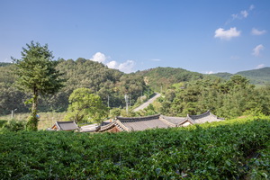 동계서원 기와가 보이는 풍경