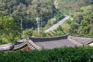 동계서원 기와가 보이는 풍경