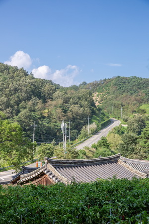 동계서원 기와가 보이는 풍경