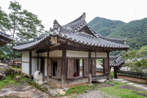 반계정 측면 후면