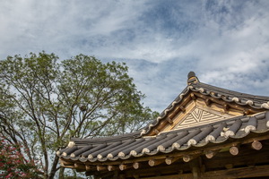 삼수정 처마