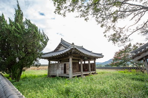 삼수정 측면 전경