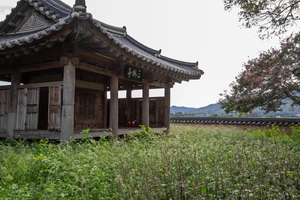 삼수정 측면 전경