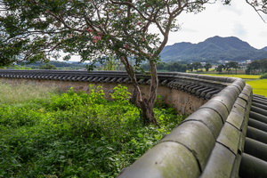 삼수장 담장