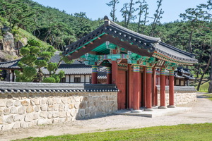 조동문 측면