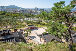 뒤에서 바라본 조동문