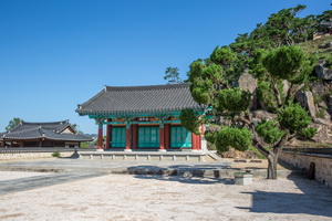 악강묘 측면 전경