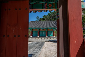조동문에서 본 악강묘