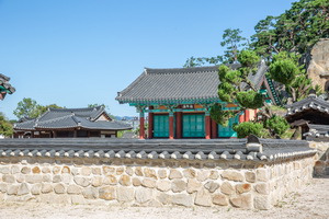 담장 밖에서 본 악강묘 측면 전경