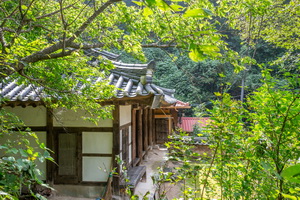 청량정사 측면 전경