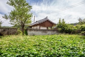 죽곡사 측면 후경
