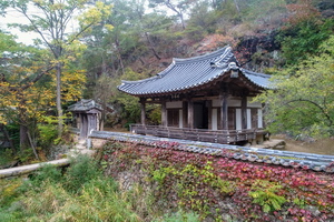 만휴정 정측면